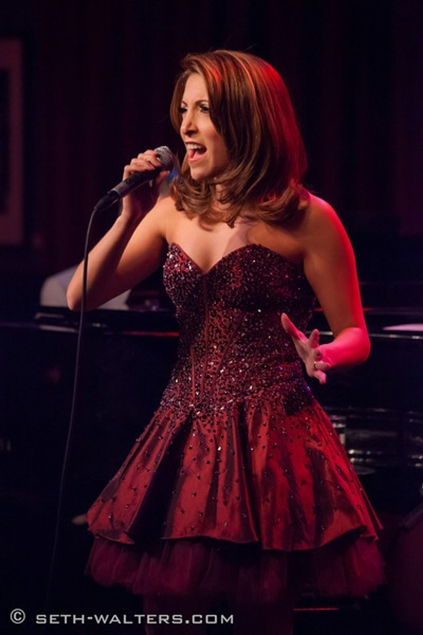 Photo Coverage: Christina Bianco Brings MORE DIVA MOMENTS to Birdland Image