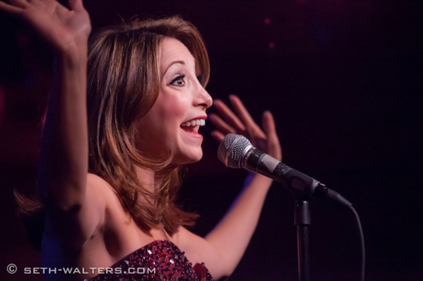 Photo Coverage: Christina Bianco Brings MORE DIVA MOMENTS to Birdland Image