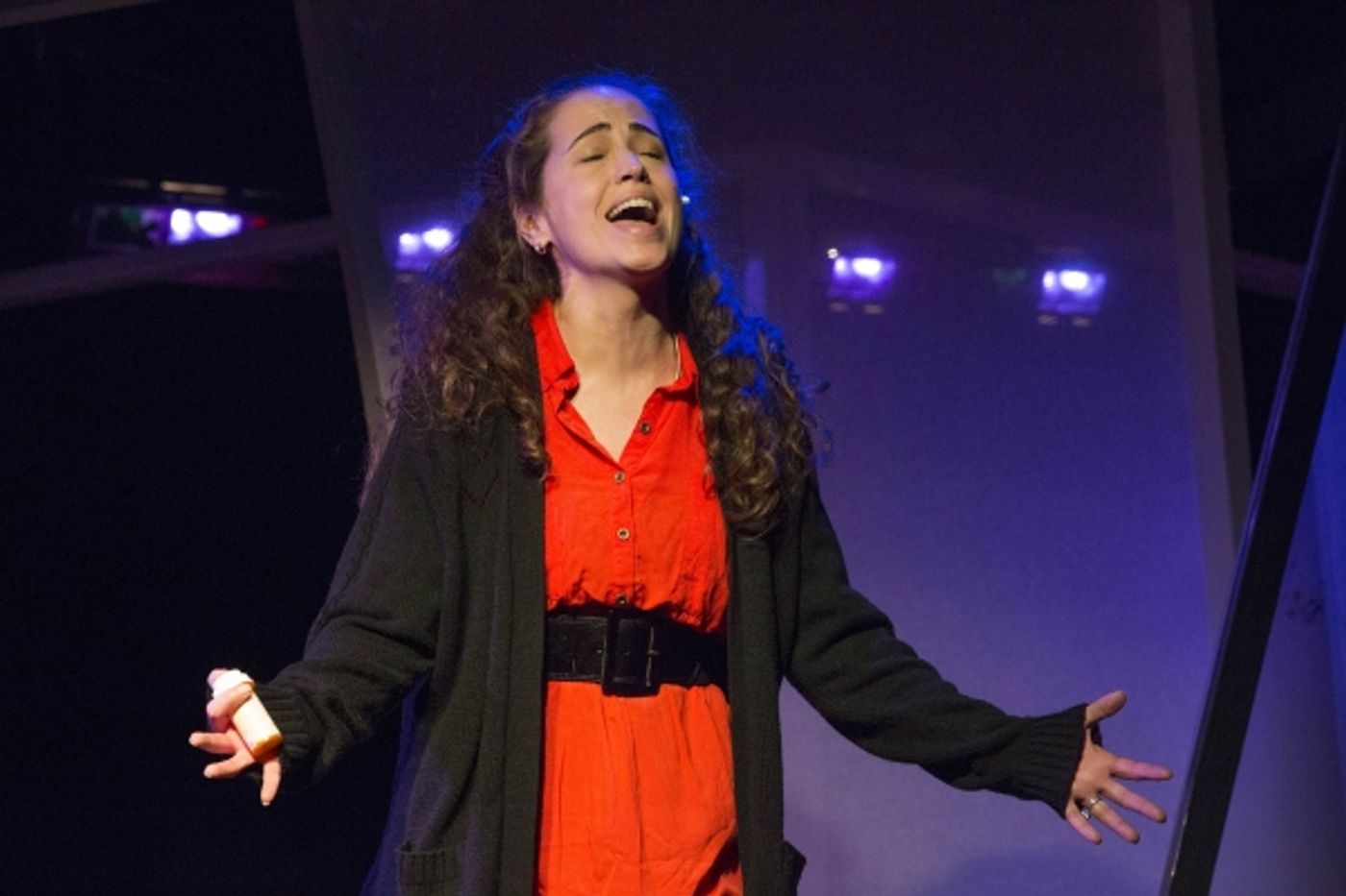 Photo Flash: First Look at Phoenix Theatre's NEXT TO NORMAL, Opening Tonight  Image