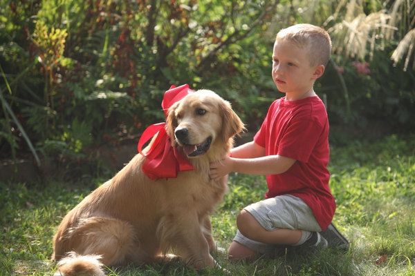 Photo Flash: DO NO HARM's 'Don't Answer the Phone'  Image