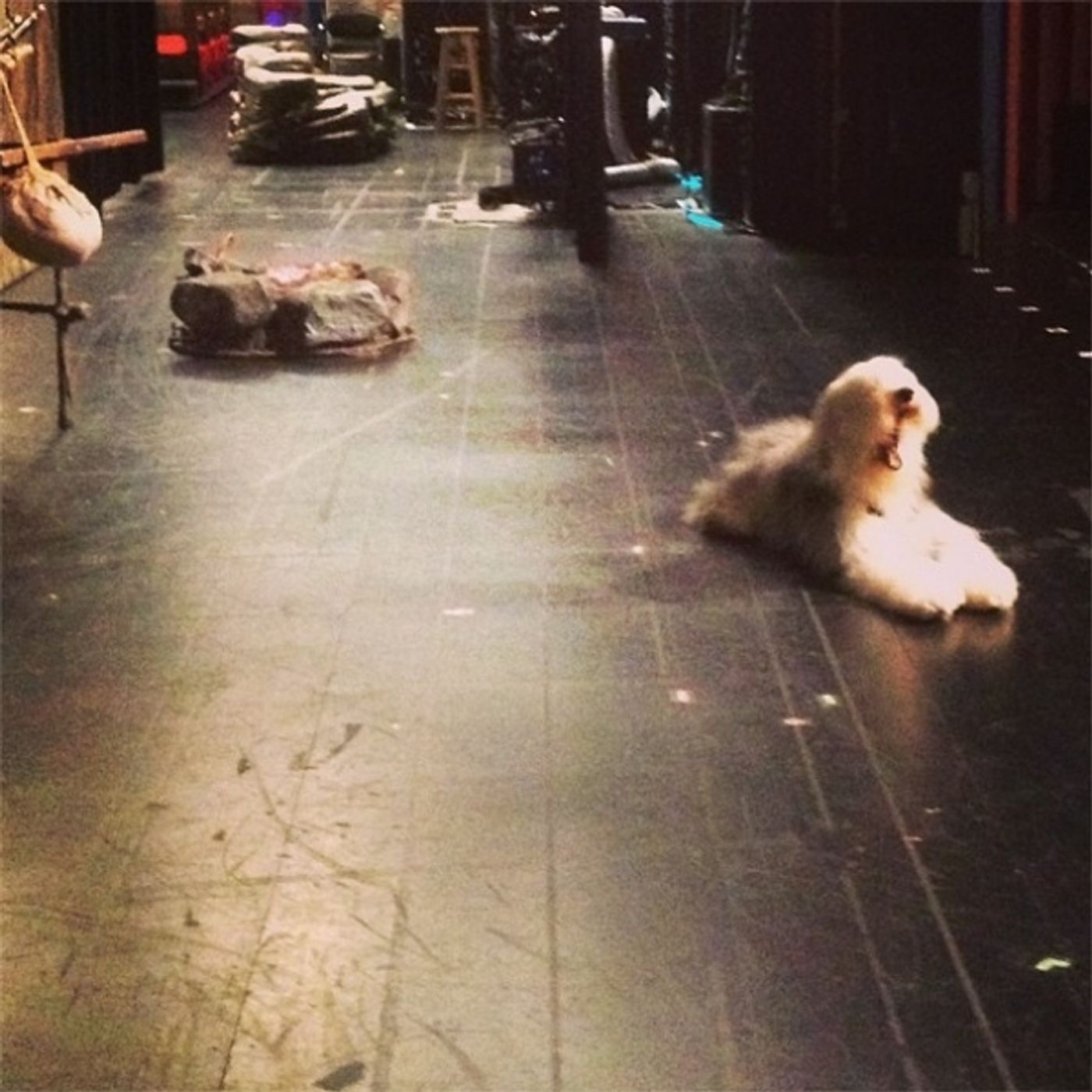 Photo Flash: Saturday Intermission Pics, Feb 2, Part 2 - CINDERELLA's Stepsisters, MORMON Wigs, HAIR & More!  Image