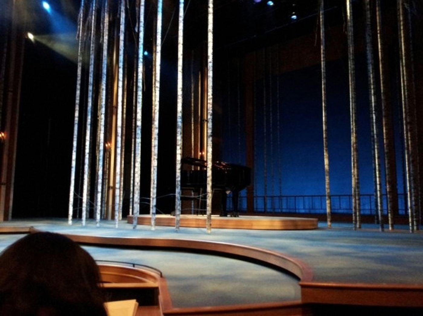 Photo Flash: Saturday Intermission Pics, Feb 2, Part 2 - CINDERELLA's Stepsisters, MORMON Wigs, HAIR & More!  Image