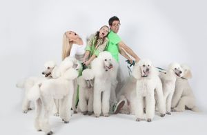 Karen LeFrak, Izzy Hanson-Johnston and Chase Brock @ BroadwayWorld Karen LeFrak, Izzy Hanson-Johnston and Chase Brock Photo