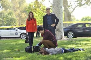 DANA DELANY, GEOFFREY AREND, MARK VALLEY Photo