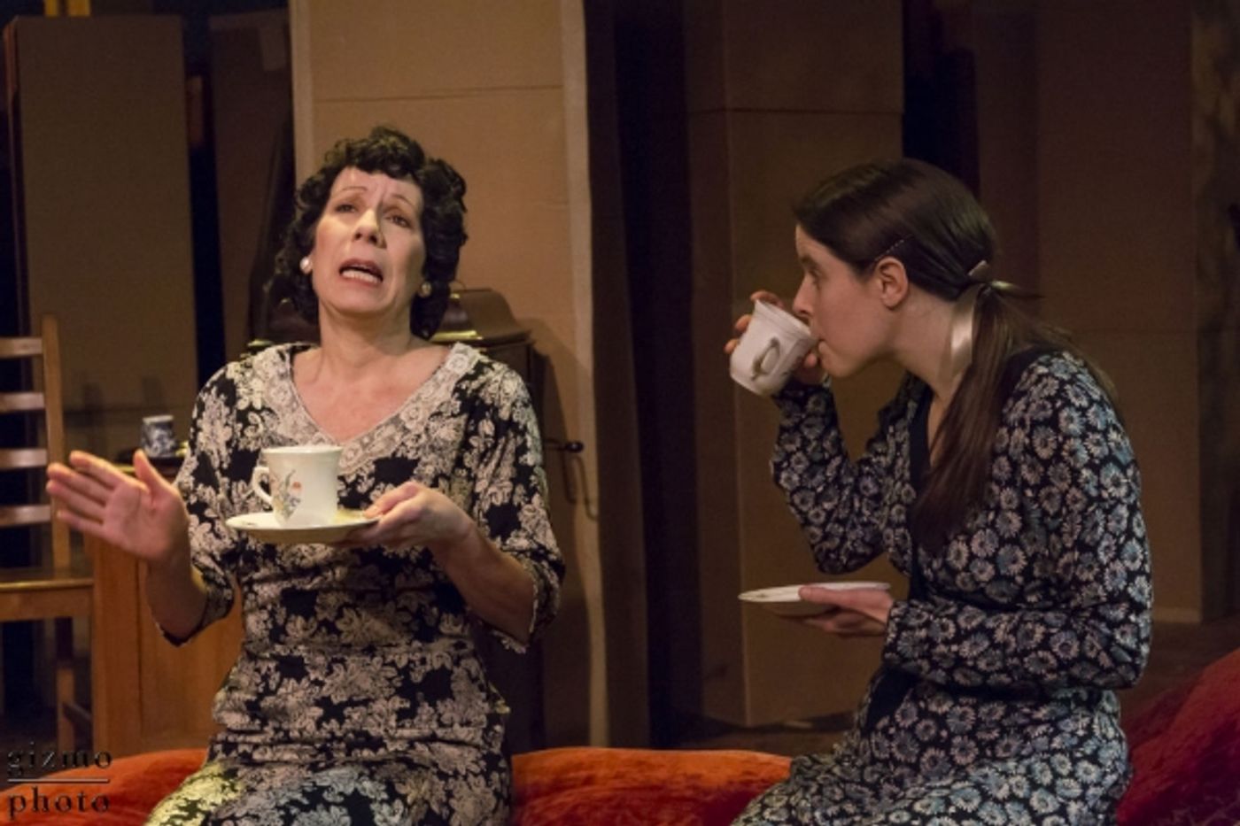 Photo Flash: First Look at Julie Herber, Vanessa Strickland and More in MET's THE GLASS MENAGERIE  Image