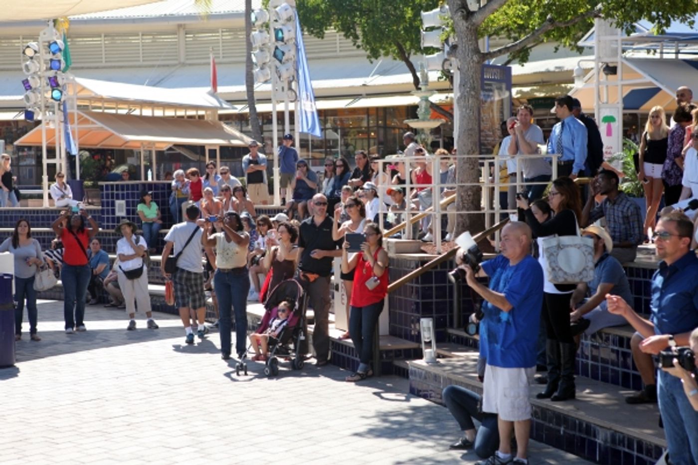 Photo Flash: Cast of Cirque du Soleil's TOTEM Surprises Bayside Market Place Crowds  Image