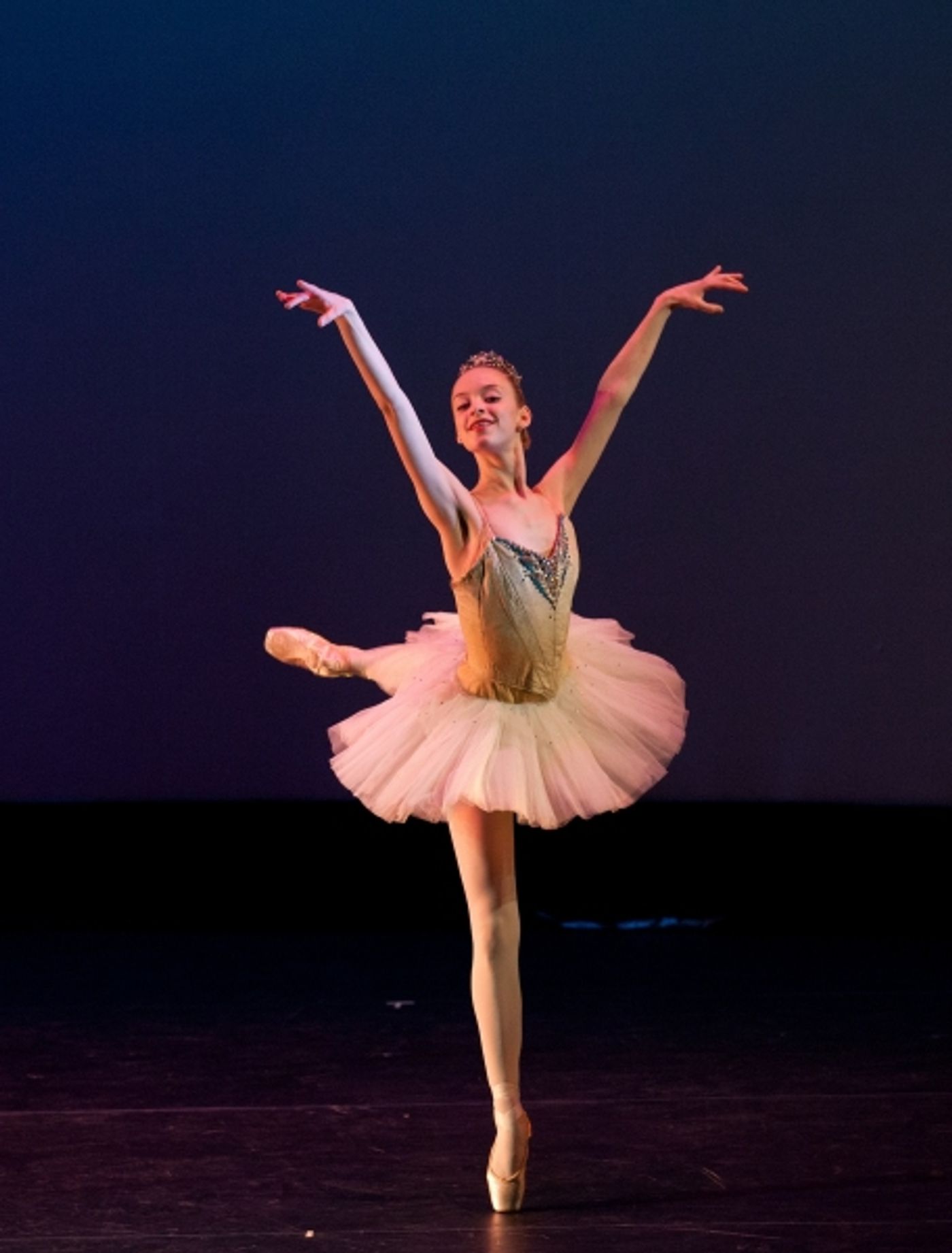 Photo Flash: First Look at Brooklyn Center's THE BEAUTY OF BALLET  Image