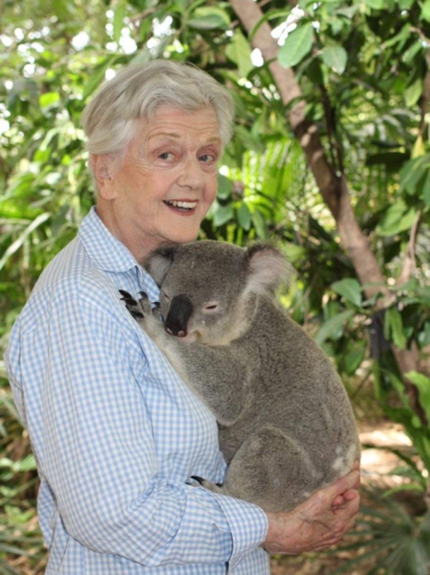 Photo Flash: Angela Lansbury Makes a Koala Friend Down Under  Image