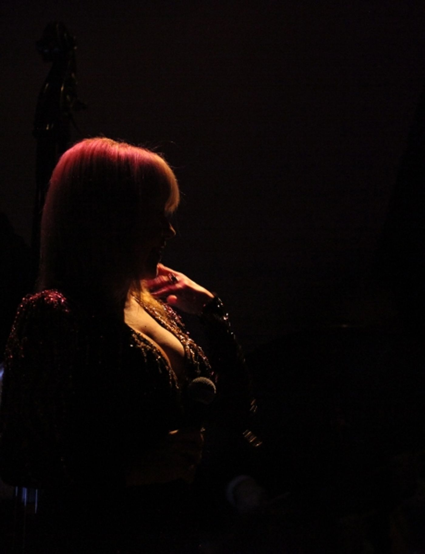 Exclusive Photo Coverage: Pia Zadora Plays Metropolitan Room  Image