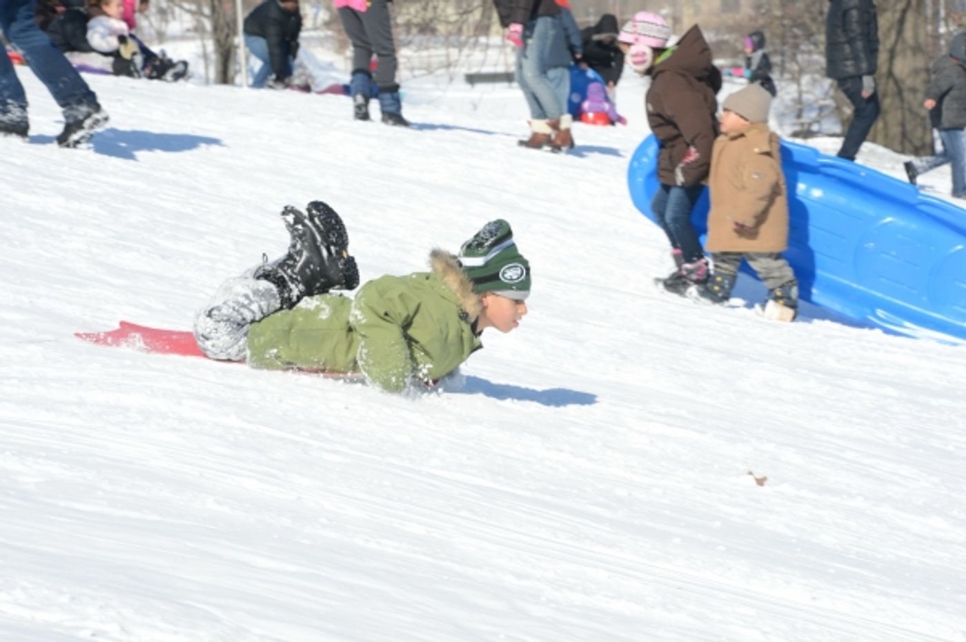 Photo Flash: Snow Day Fun at Crotona Park in the Bronx  Image