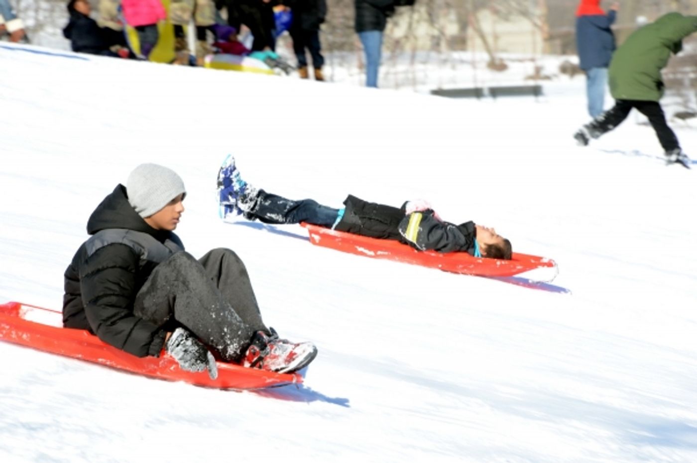 Photo Flash: Snow Day Fun at Crotona Park in the Bronx  Image