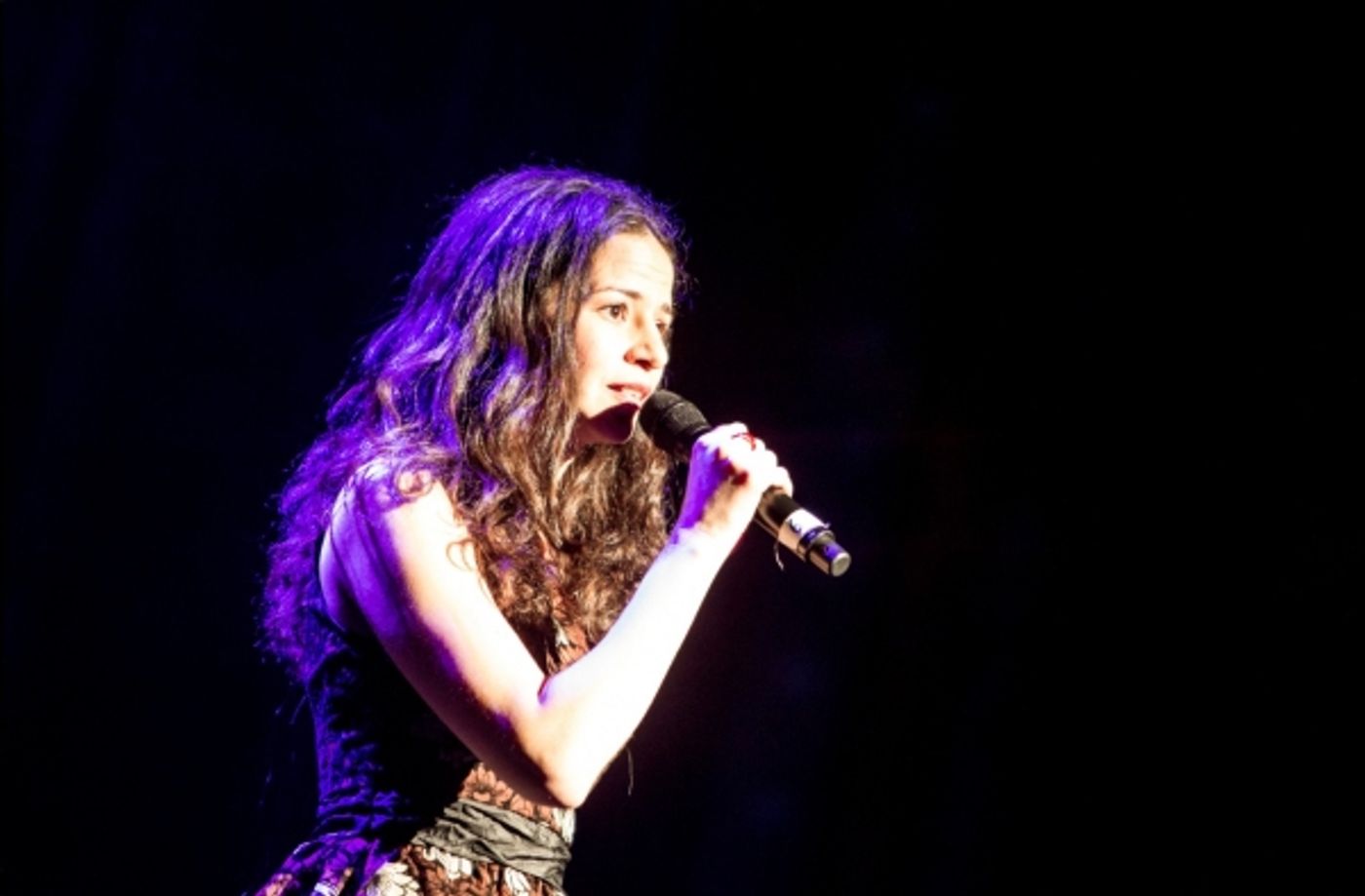 Photo Flash: Inside the IN THE HEIGHTS Reunion Concert with Lin-Manuel Miranda, Karen Olivo, Mandy Gonzalez & More! Image