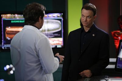 Gary Sinise Photo