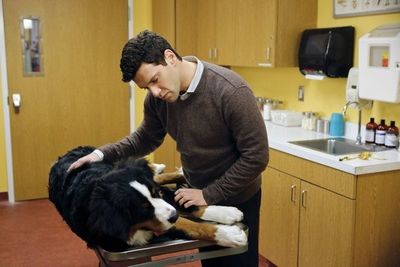 Justin Bartha Photo