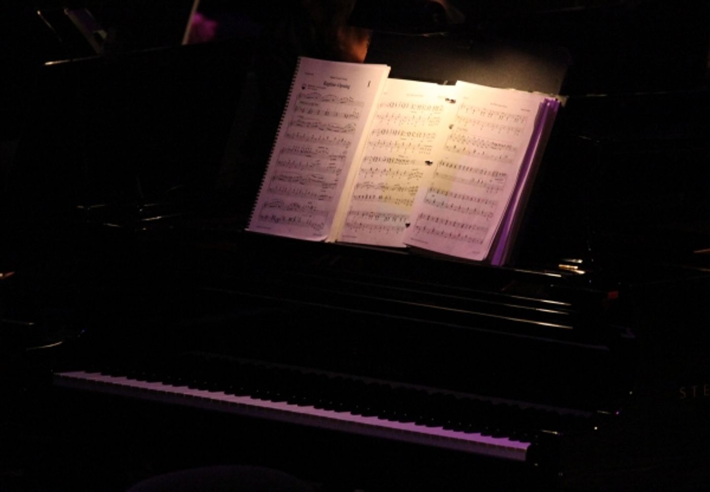 Photo Coverage: Inside the RAGTIME Concert at Avery Fisher Hall!  Image