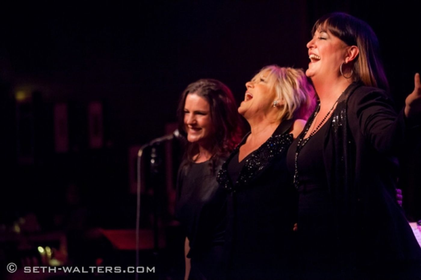 Photo Flash: Lorna Luft Brings LORNA'S LIVING ROOM to Broadway at Birdland Photo Flash: Lorna Luft Brings LORNA'S LIVING ROOM to Broadway at Birdland Image