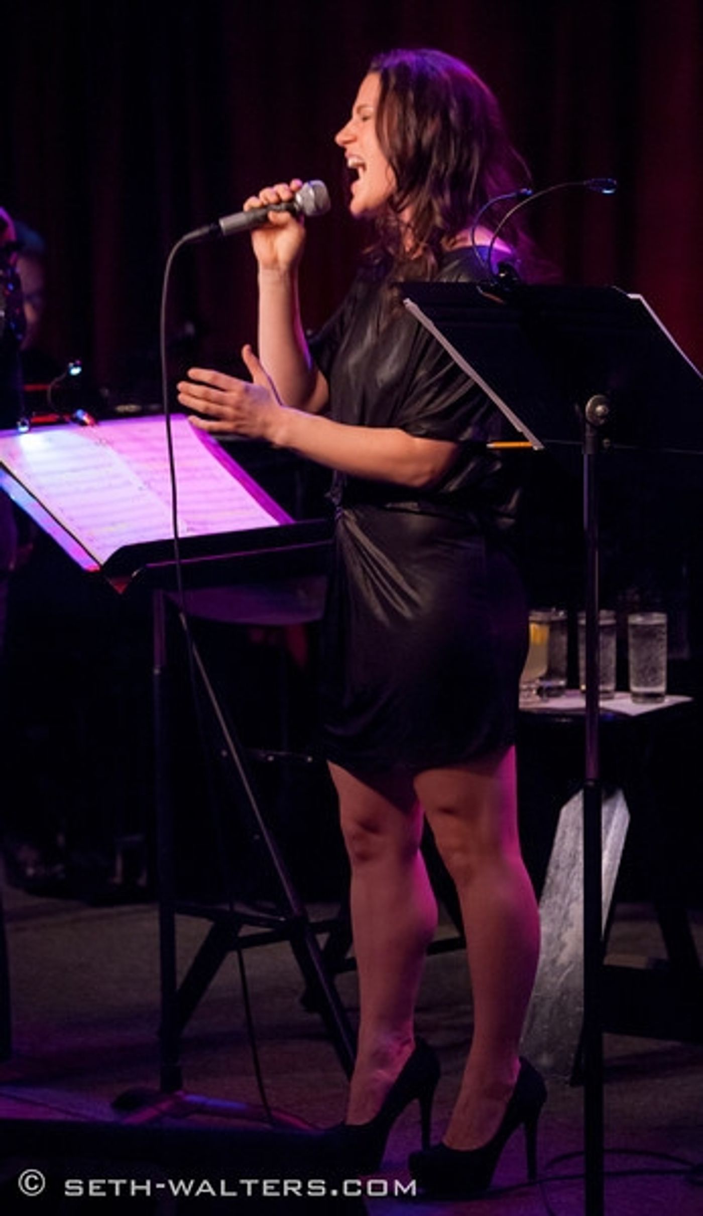 Photo Flash: Lorna Luft Brings LORNA'S LIVING ROOM to Broadway at Birdland  Image