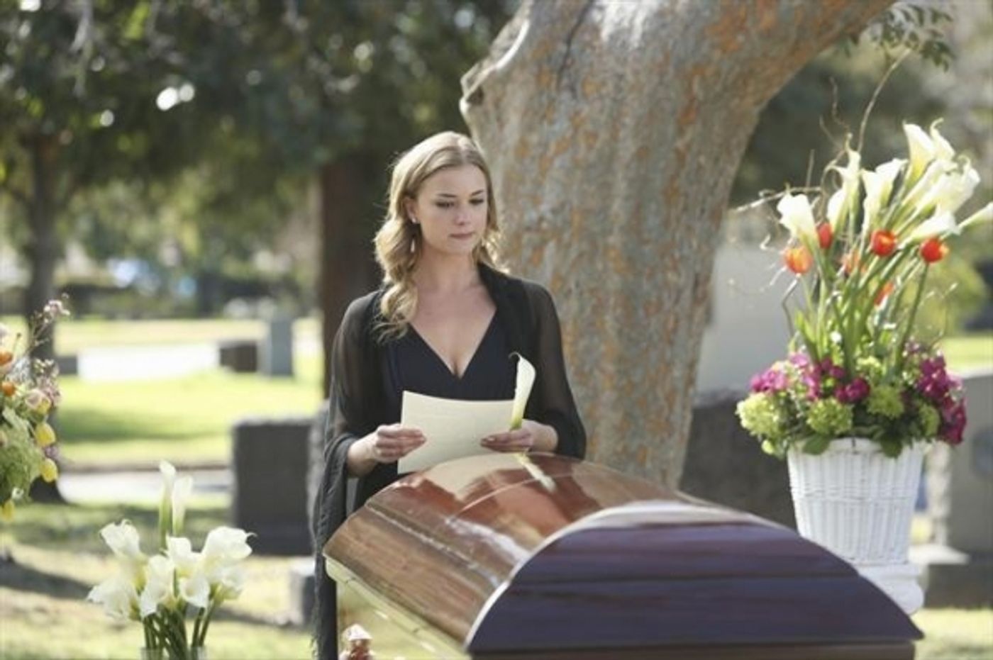 Photo Flash: REVENGE's 'Retribution,' Airing 3/10  Image
