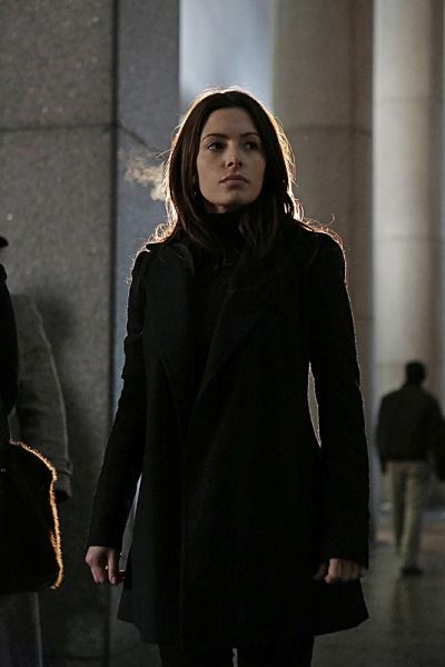 Sarah Shahi
 Photo