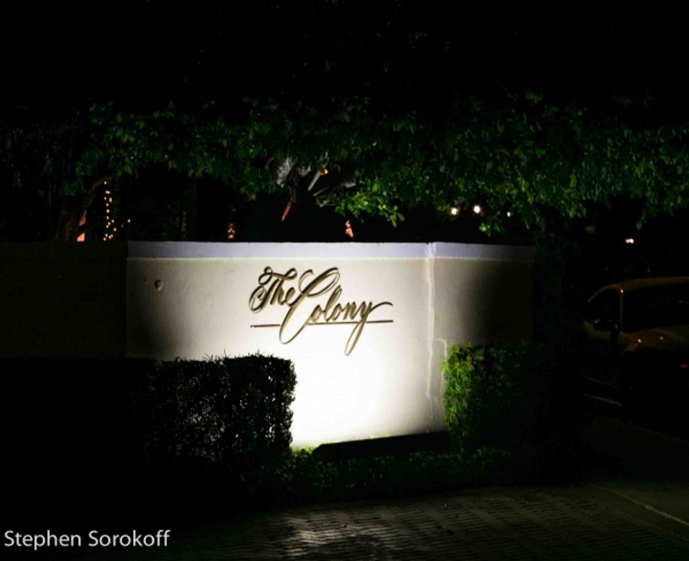 Photo Coverage: Nicolas King Plays Royal Room at Colony Hotel  Image