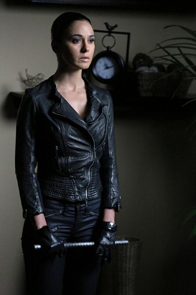 Emmanuelle Chriqui Photo