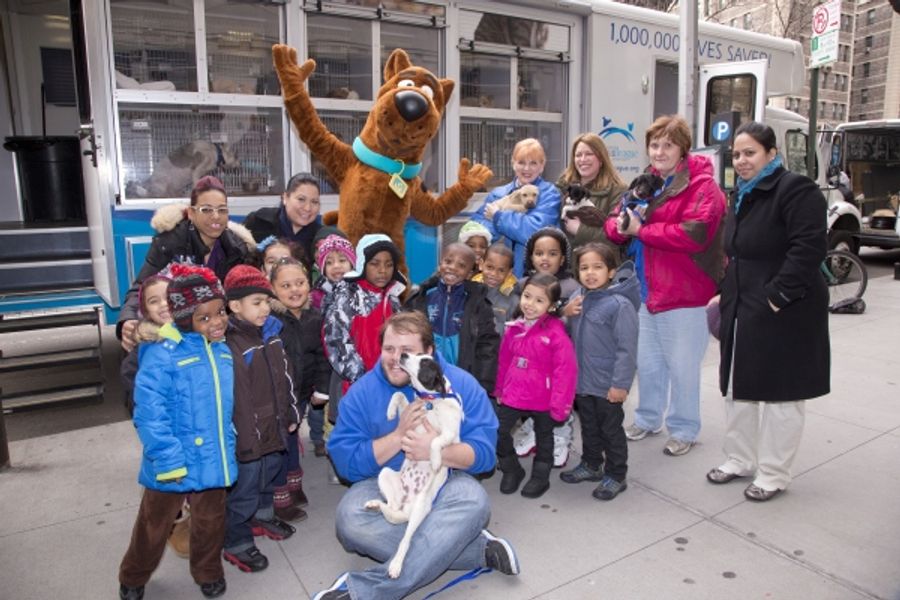 Photo Flash: Scooby Doo Joins with Garden of Dreams Foundation to Help Save Pets Image