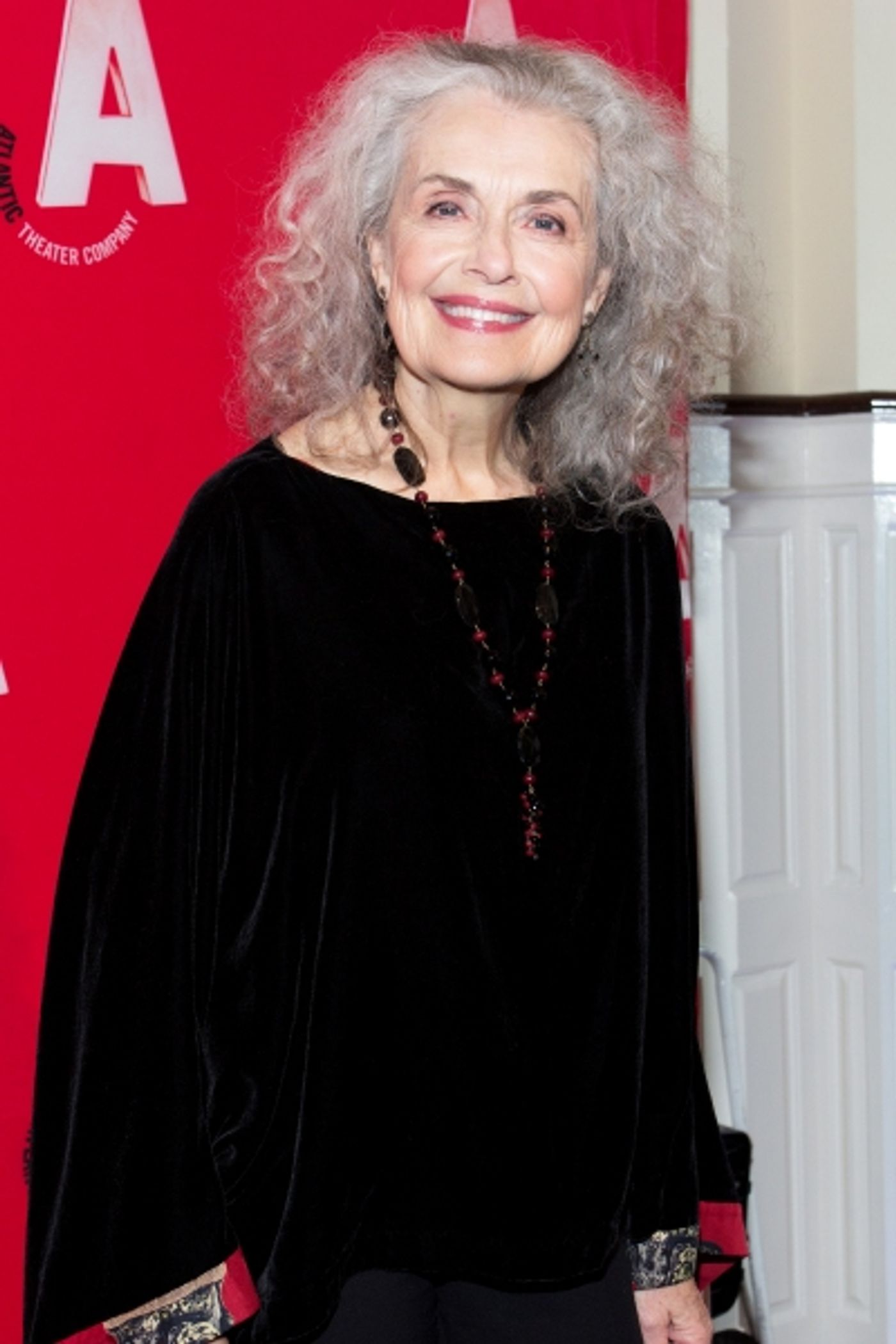 Photo Coverage: Inside the Atlantic Theater Company Gala with Michael Cerveris, Tonya Pinkins & More!  Image