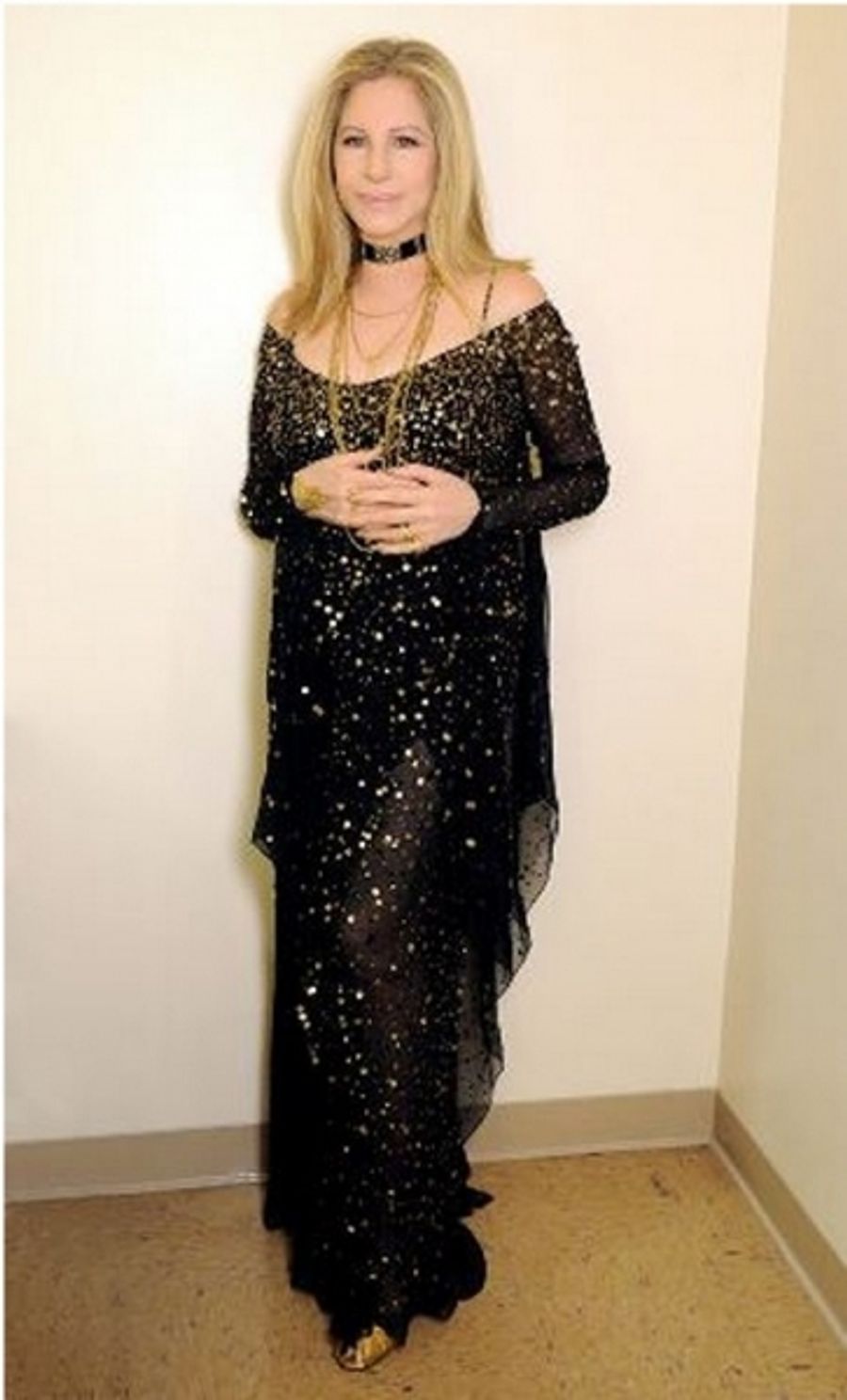 Photo Coverage: Barbra Streisand's Custom Donna Karan Dress Image