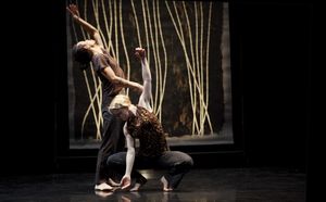 Split Screen Stereophonic (2013) Choroegrapher: Peggy Baker: Dancers Benjamin Kamino, Photo