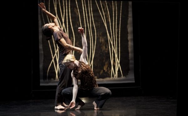 Split Screen Stereophonic (2013) Choroegrapher: Peggy Baker: Dancers Benjamin Kamino, Photo