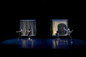 Split Screen Stereophonic (2013) Choroegrapher: Peggy Baker: Dancers: Sarah Fregeau,  Photo
