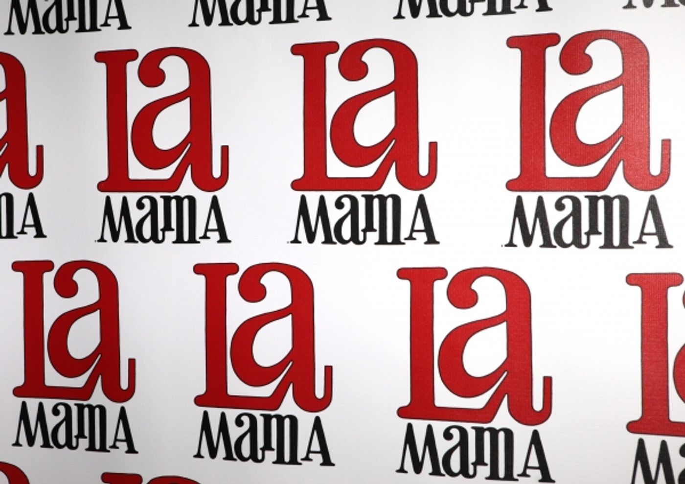 Photo Coverage: Estelle Parsons Honored at La Mama's  51 Gala!  Image