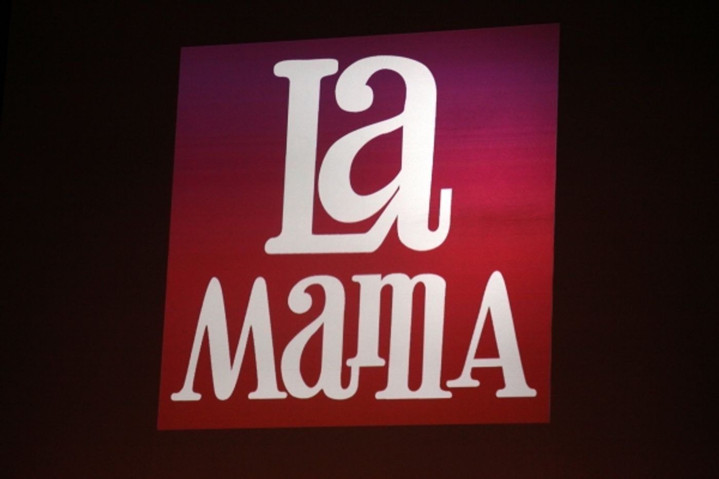Photo Coverage: Inside La Mama's 51 Gala!  Image