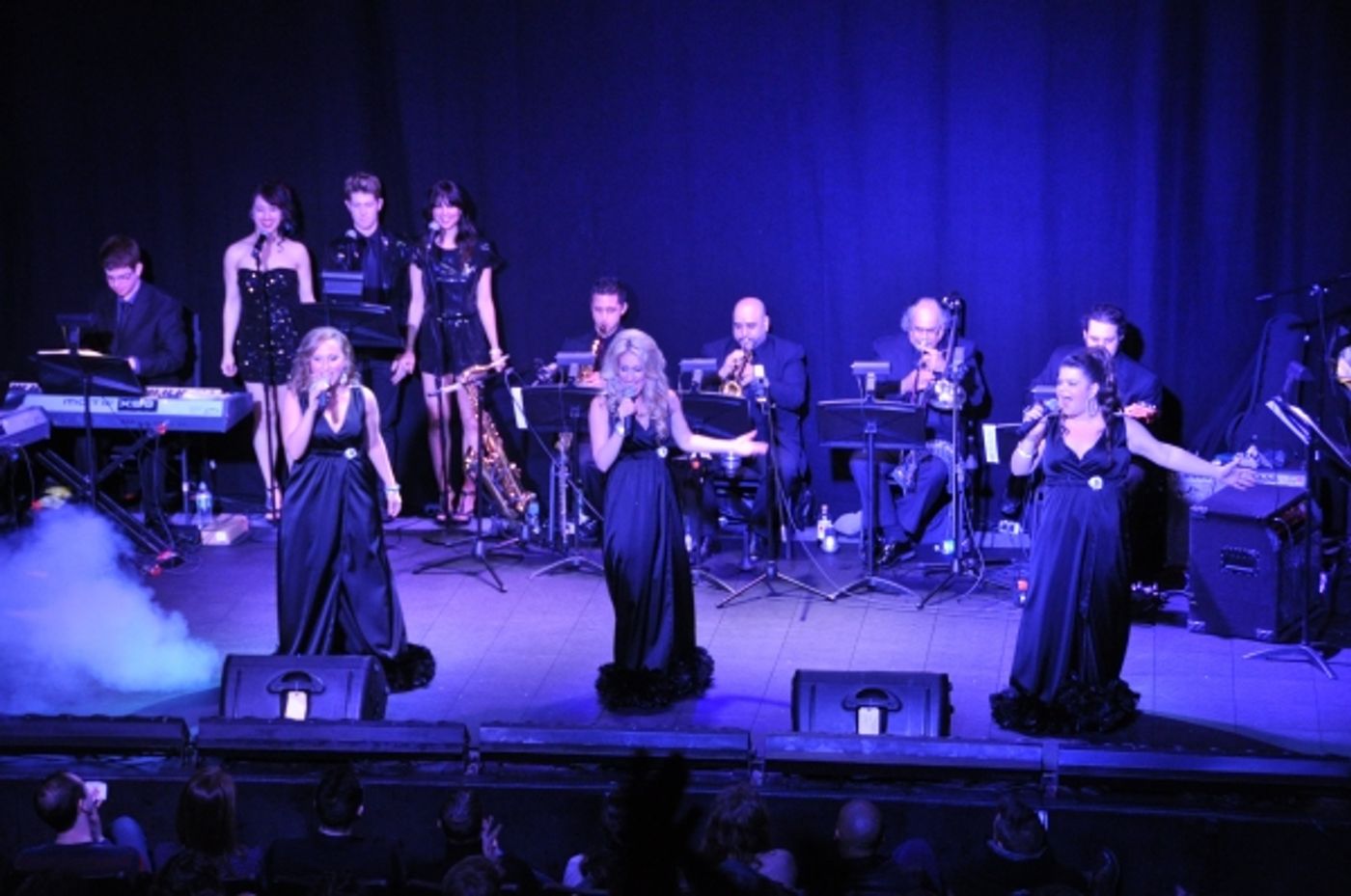 Photo Coverage: More from Marty Thomas Presents DIVA CD Release Concert!  Image