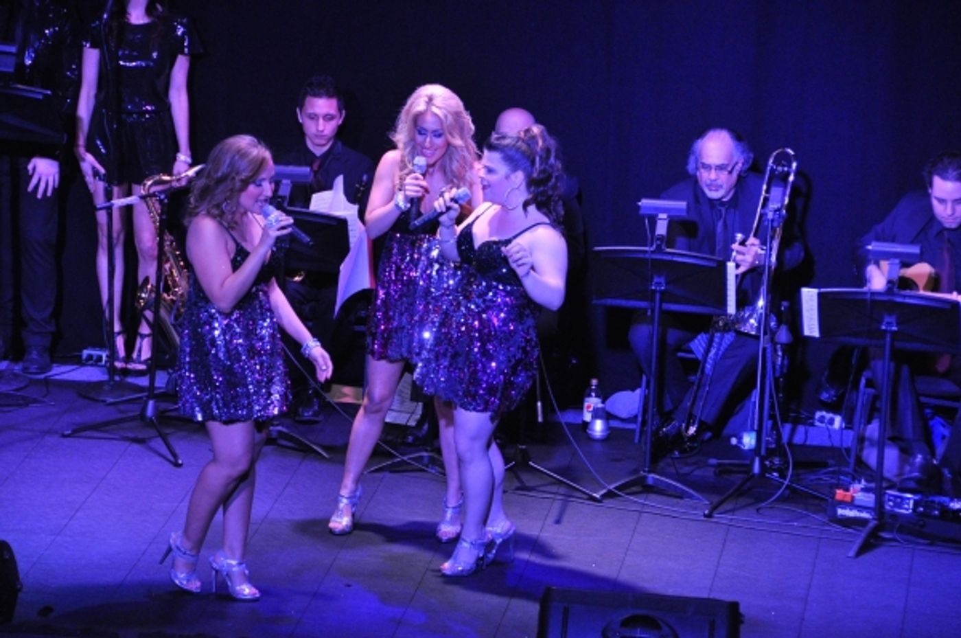 Photo Coverage: More from Marty Thomas Presents DIVA CD Release Concert!  Image