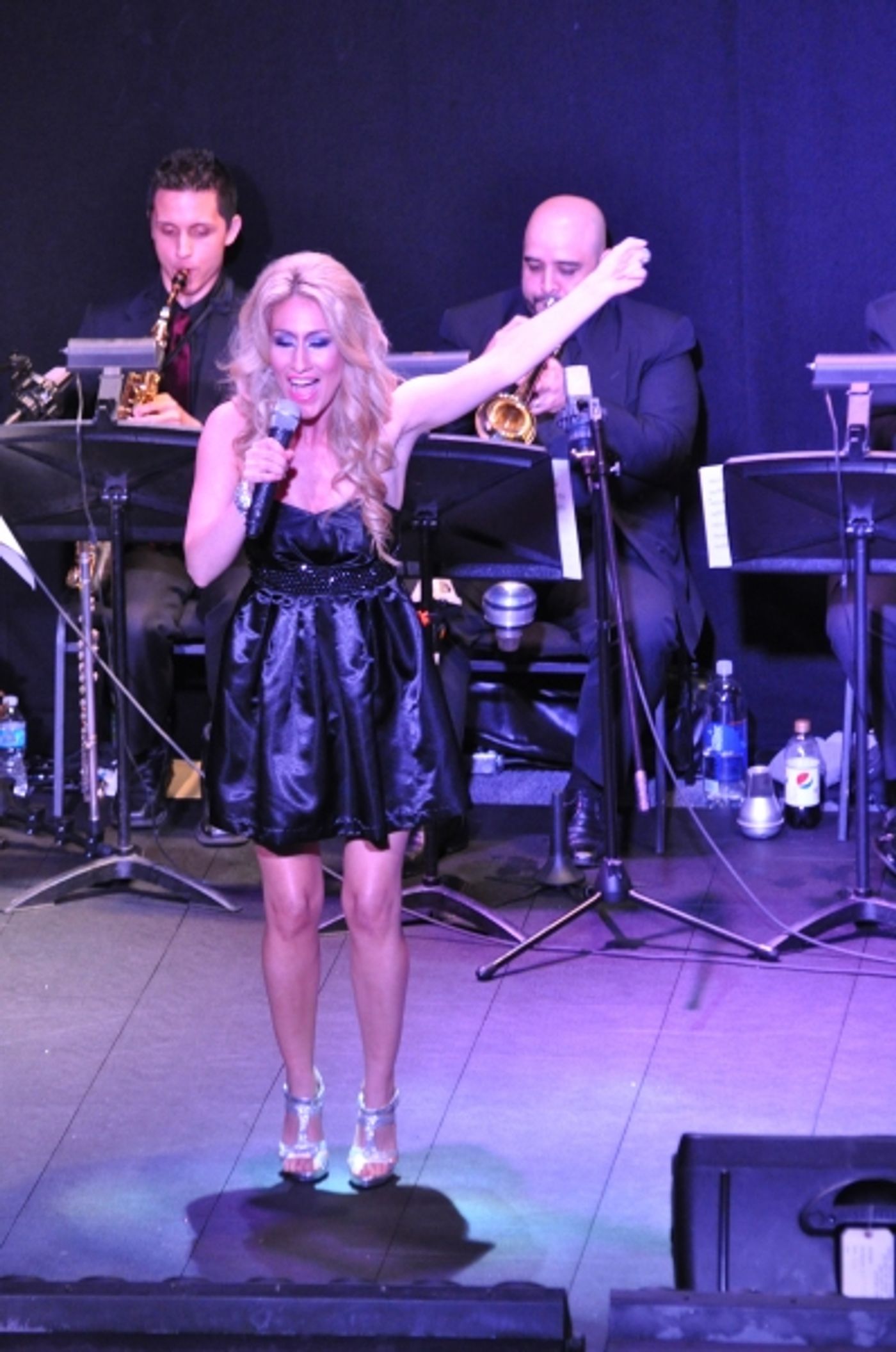 Photo Coverage: More from Marty Thomas Presents DIVA CD Release Concert!  Image