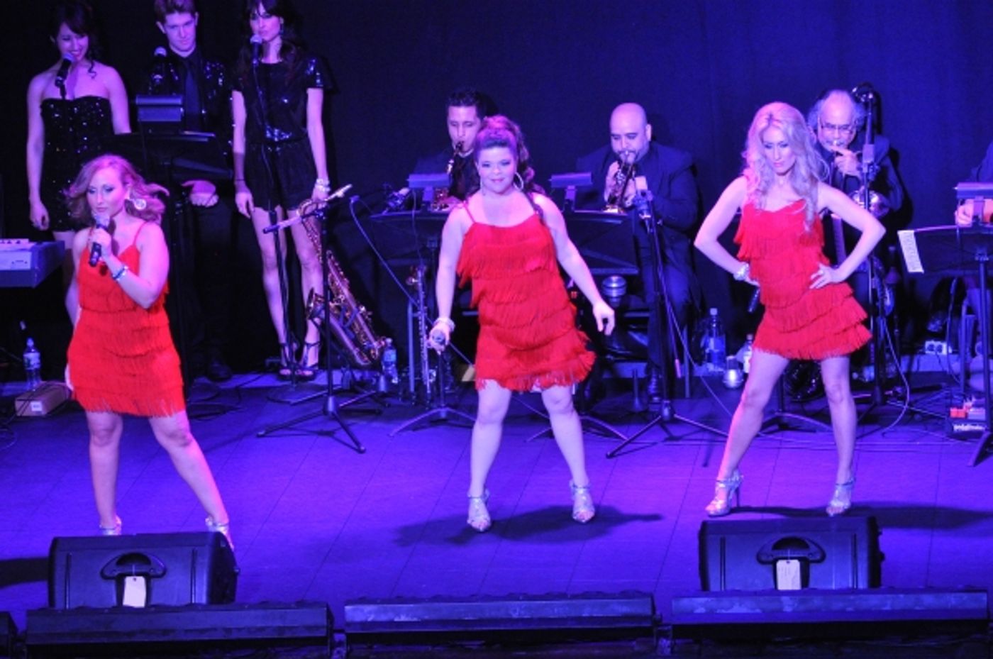 Photo Coverage: More from Marty Thomas Presents DIVA CD Release Concert!  Image