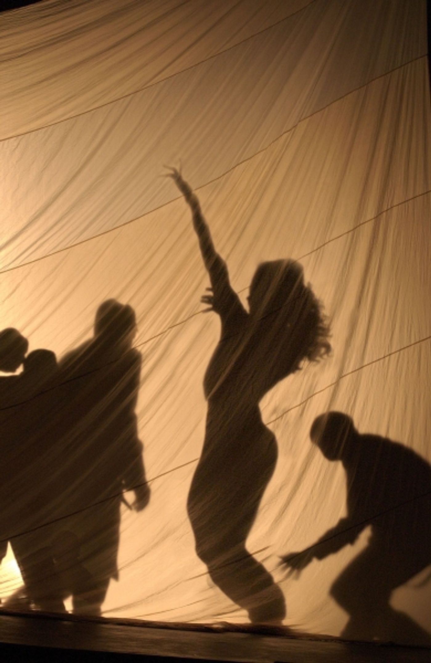 Photo Flash: Atom Egoyan Returns to the Canadian Opera Company with Strauss's SALOME  Image