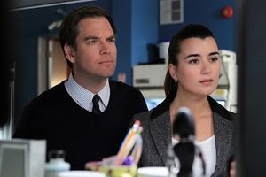 Michael Weatherly, Cote de Pablo Photo