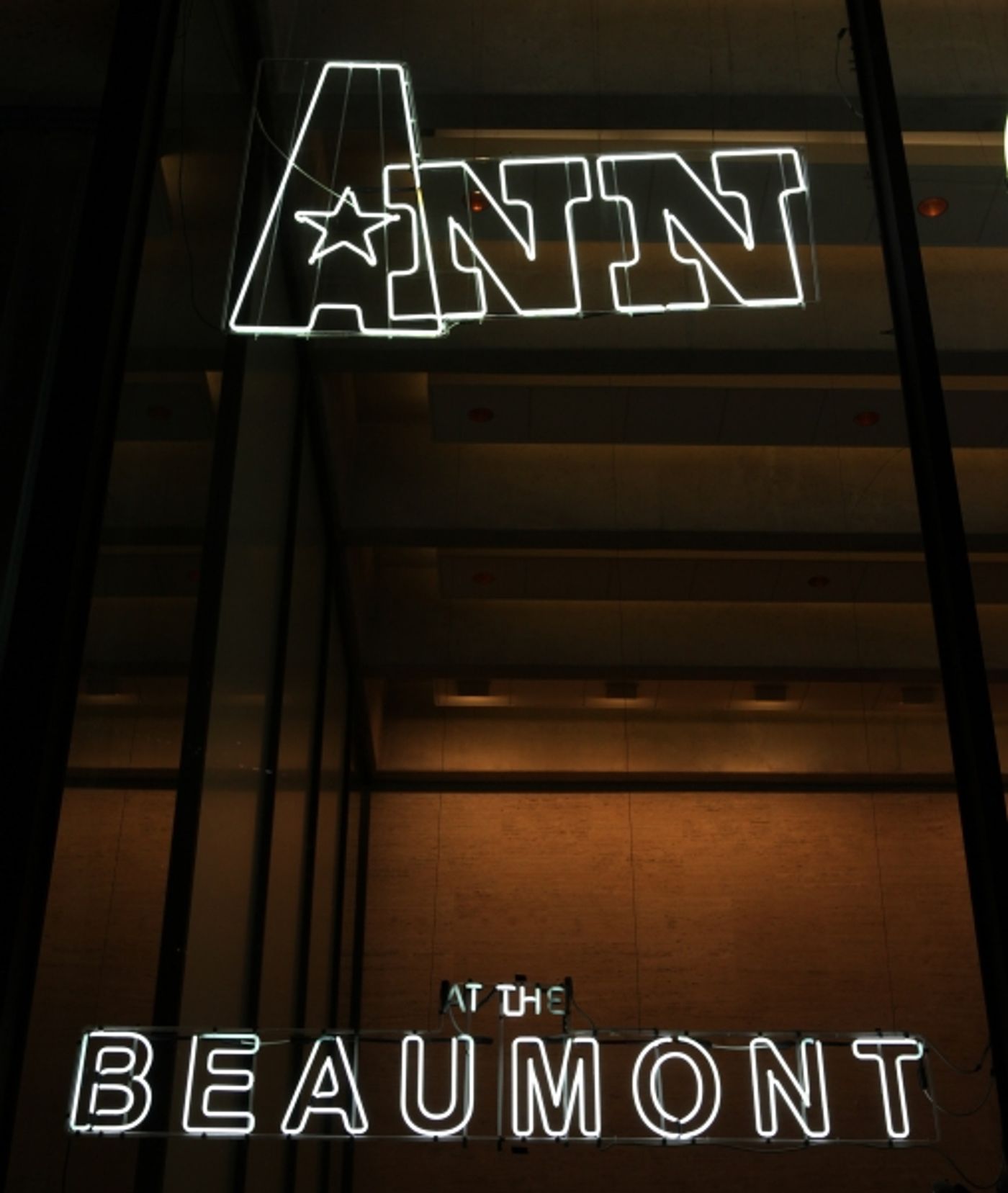 Photo Coverage: Inside ANN's Opening Night Curtain Call!  Image