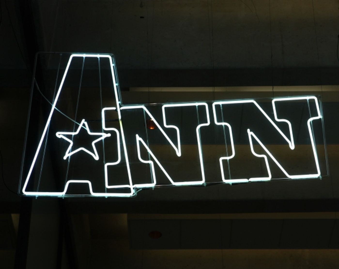 Photo Coverage: Inside ANN's Opening Night Curtain Call!  Image