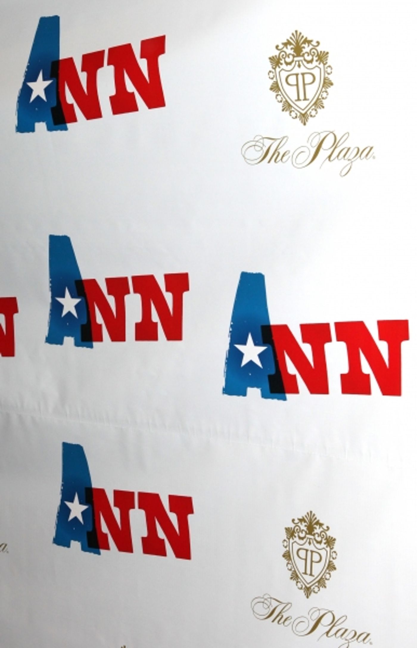 Photo Coverage: ANN's Opening Night Theatre Arrivals- Anne Hathaway & More!  Image