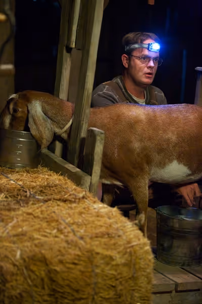 Rainn Wilson Photo