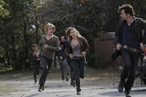 Daniella Alonso, Graham Rogers, Zak Orth, Tracy Spiridakos, Billy Burke @ BroadwayWorld Daniella Alonso, Graham Rogers, Zak Orth, Tracy Spiridakos, Billy Burke Photo