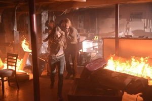 Tracy Spiridakos, Graham Rogers @ BroadwayWorld Tracy Spiridakos, Graham Rogers Photo