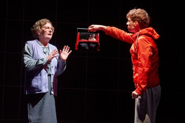 TILLY TREMAYNE as Mrs Alexander, LUKE TREADAWAY as Christpher Boone Photo