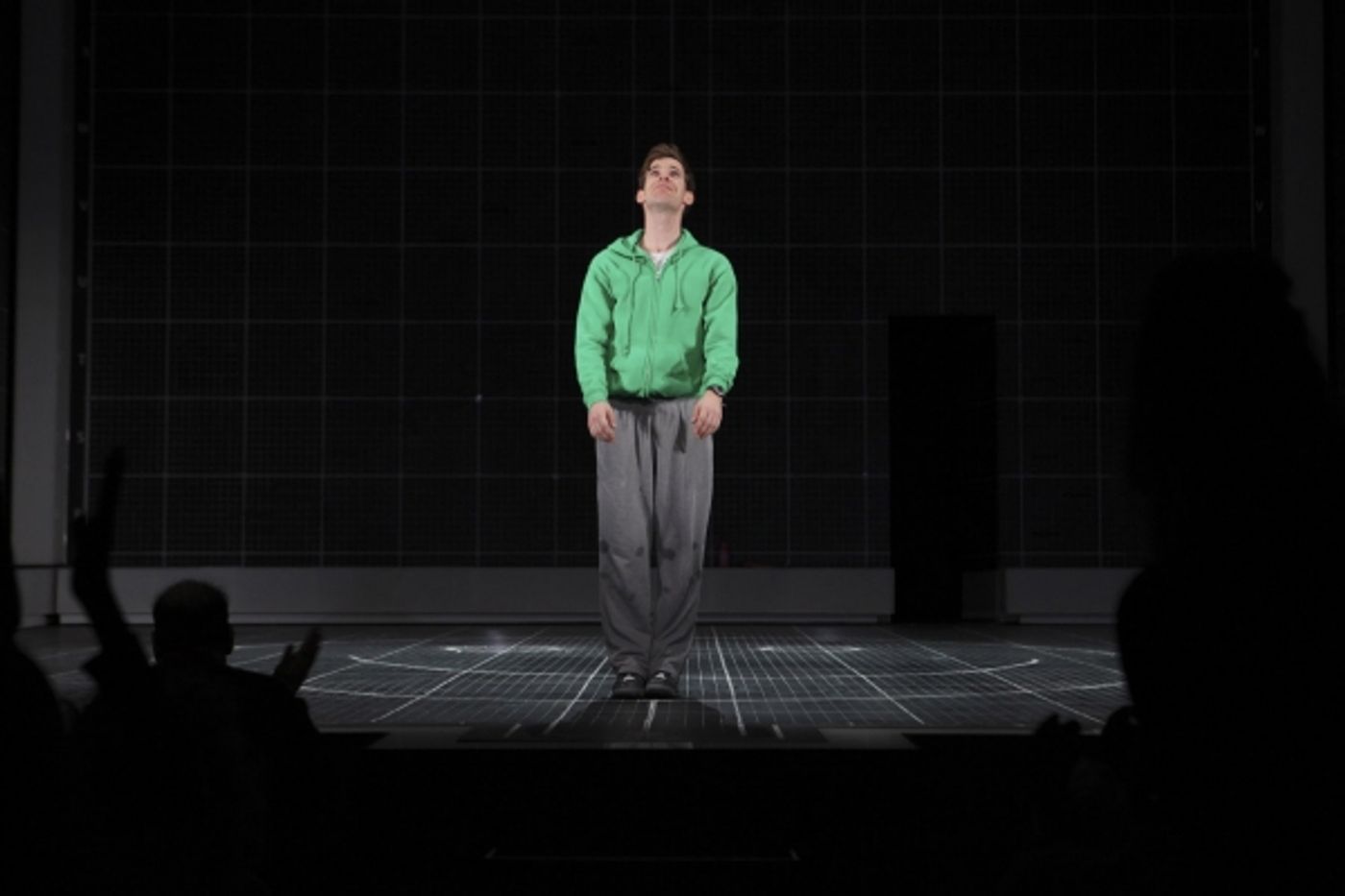 Photo Flash: Luke Treadaway and More at THE CURIOUS INCIDENT OF THE DOG IN THE NIGHT-TIME Opening in the West End  Image