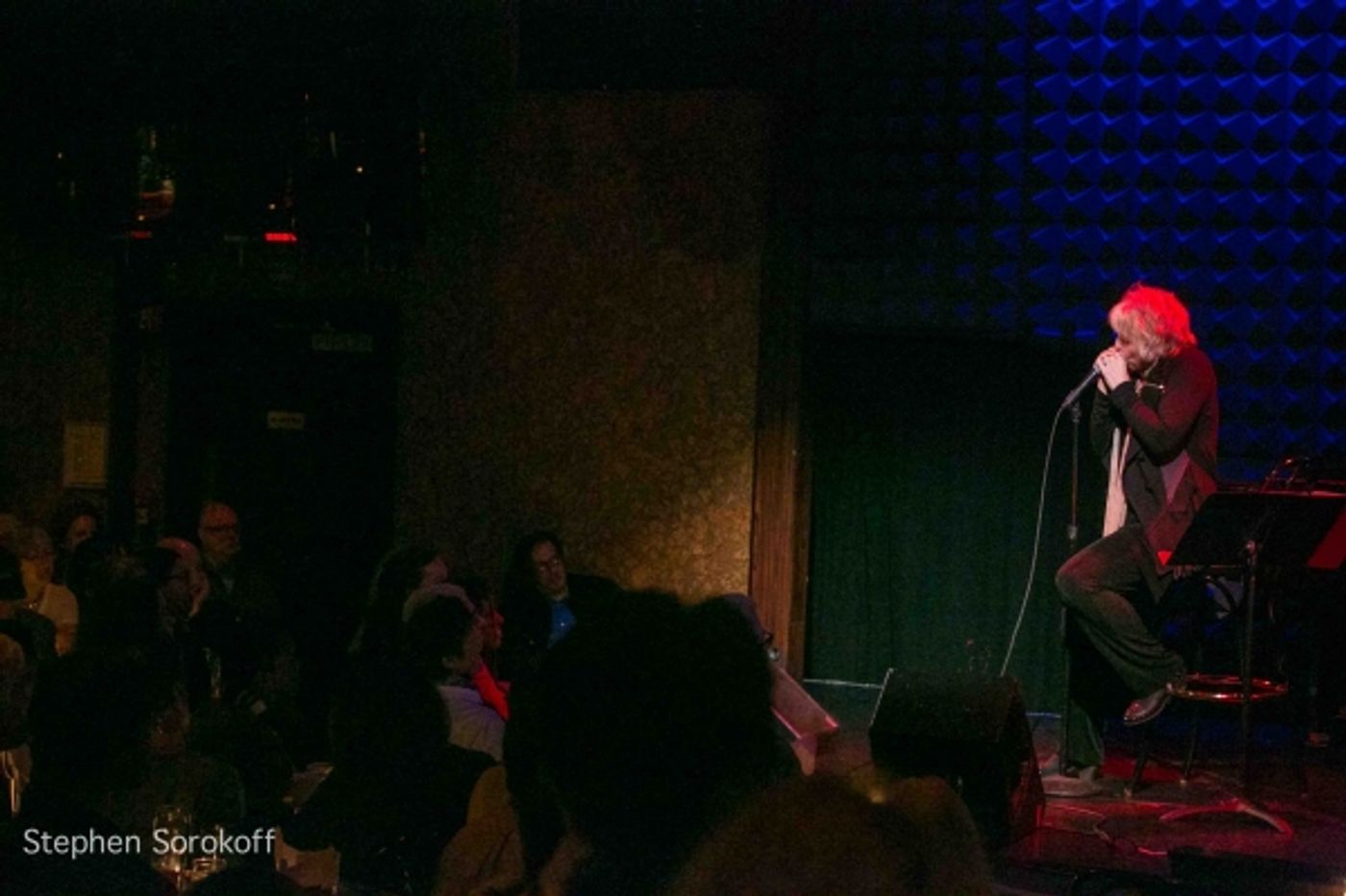 Photo Coverage: Barb Jungr Plays Joe's Pub!  Image