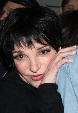 Liza Minnelli @ BroadwayWorld Liza Minnelli Photo