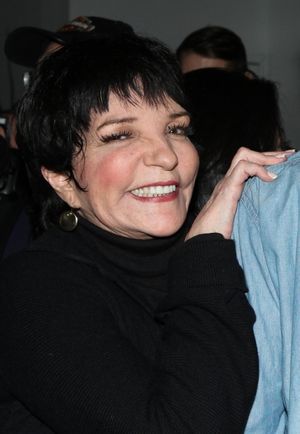Liza Minnelli @ BroadwayWorld Liza Minnelli Photo